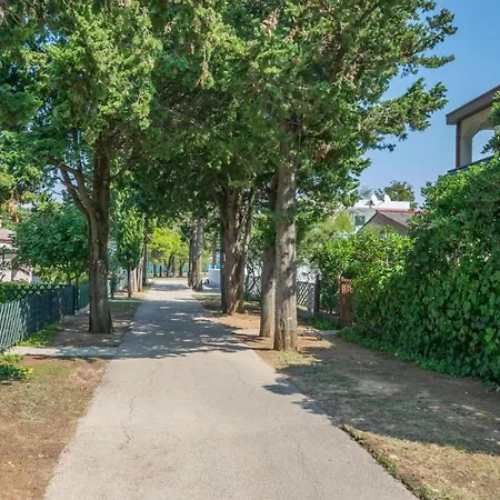 Apartament Charming Tia -near Queen